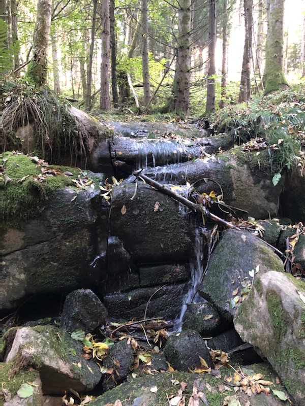 Kritik mot hemtjänsten i Lysekil
